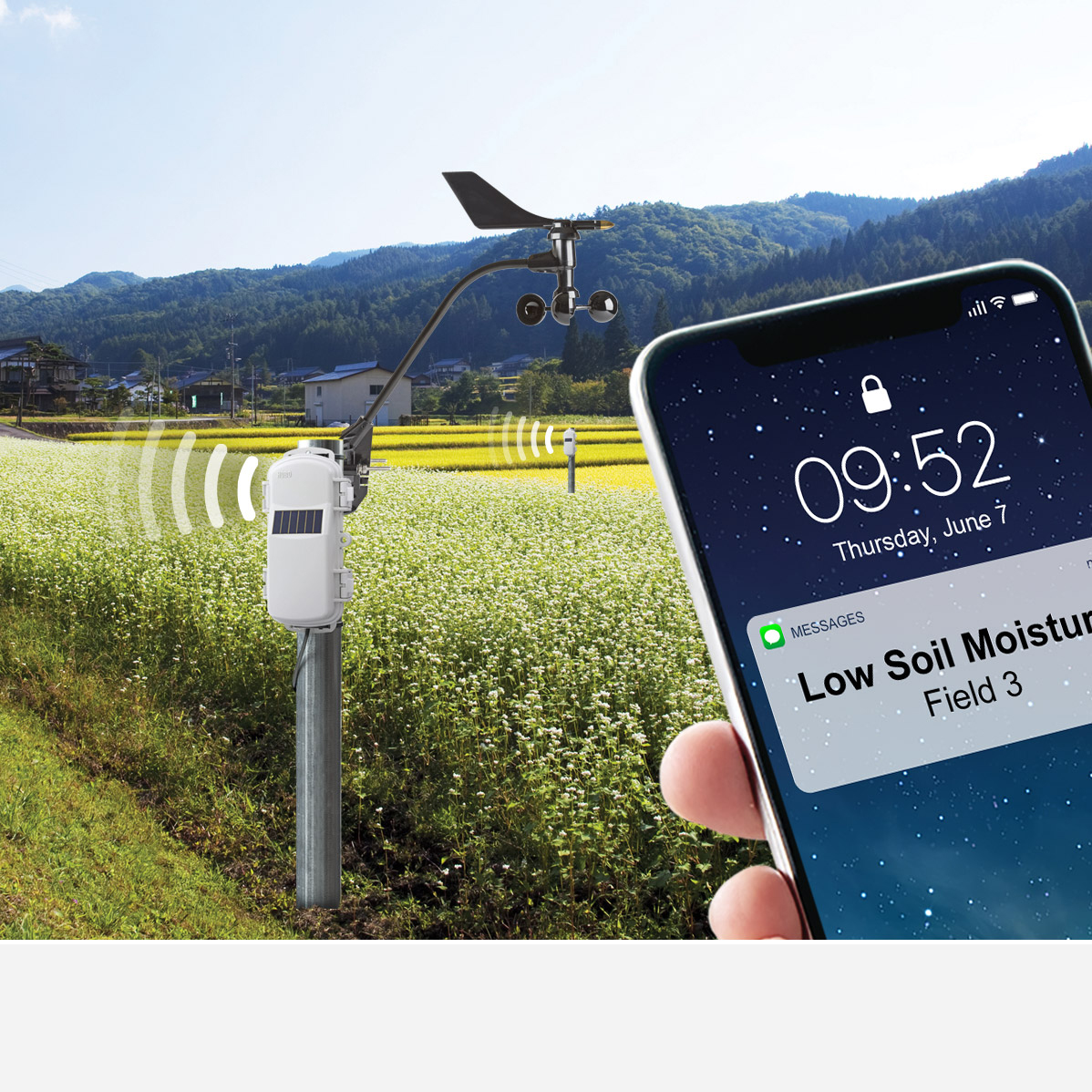 NEWA Improve Irrigation