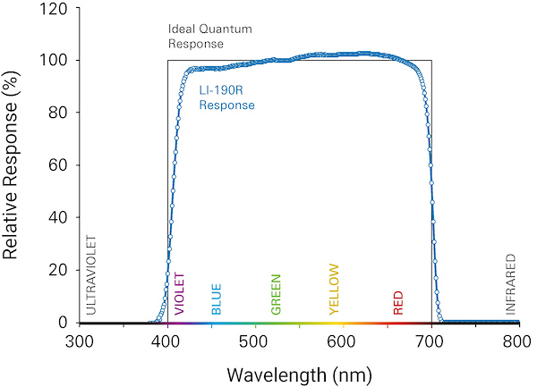 Normalized response in photon units of LI-190R Quantum Light Sensor
