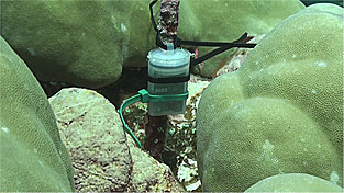 Installed a pendant logger on the reef