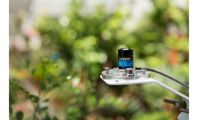 LI-COR LI-190R Quantum Light Sensor in greenhouse