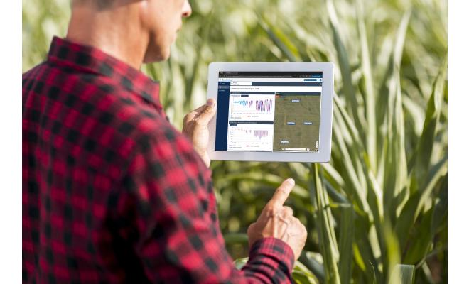 Farmer looking at data monitoring corn field