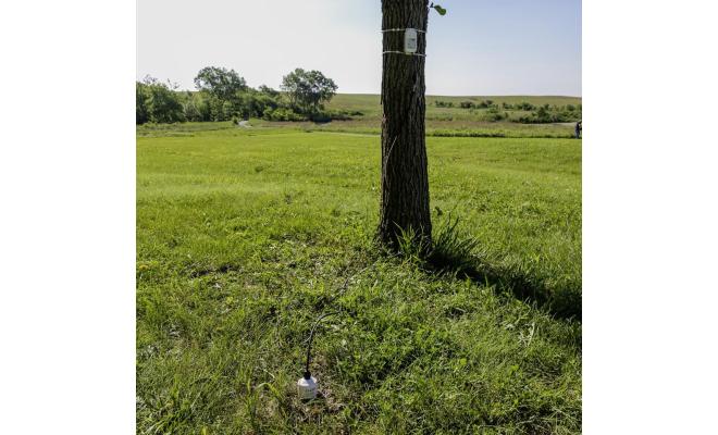 Data logger attached to tree measures soil moisture temperature