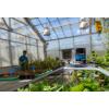 LI-190R Quantum light sensor in greenhouse with worker in background