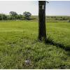 Data logger attached to tree measures soil moisture temperature