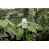 An MX2310 data logger in a greenhouse setting, mounted to a stake.