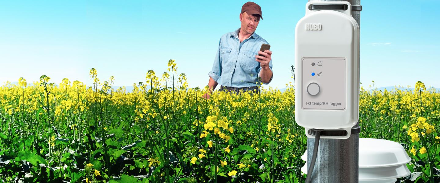 Caucasian farmer holding mobile phone to download data from HOBOnet remote station and sensors