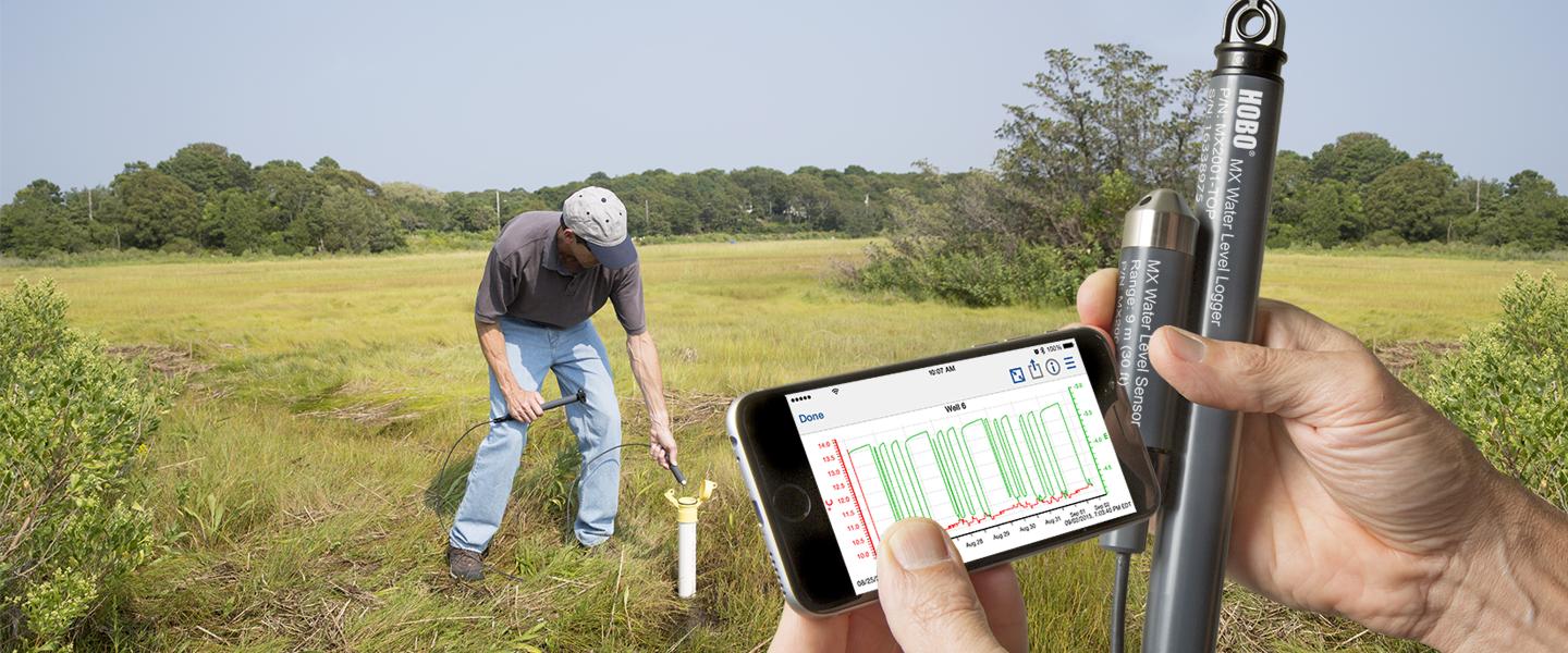 User installing a HOBO MX2001 wireless water level.temp data logger in a marsh with a phone in the forground showing data results