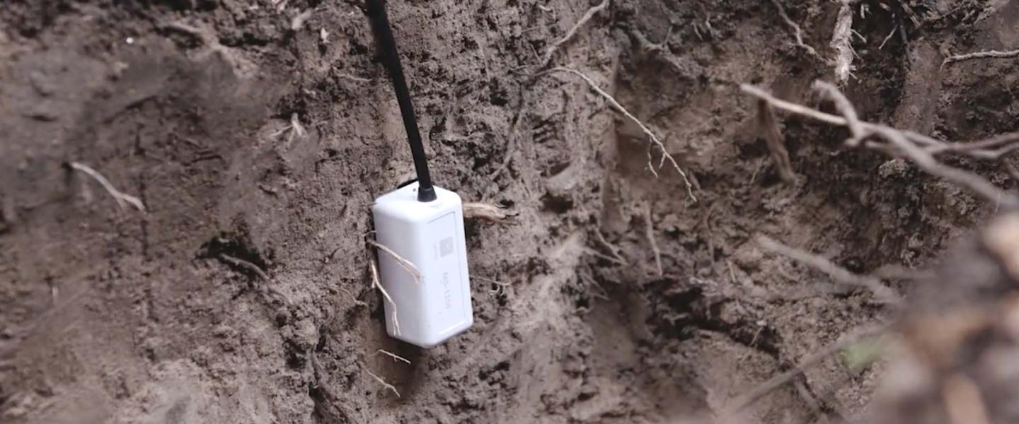 Bluetooth Soil Moisture Data Loggers Onset's HOBO Data Loggers