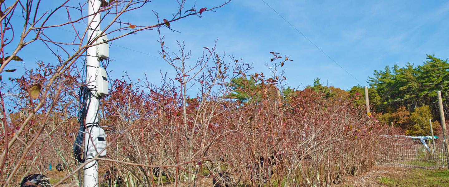 HOBO Outdoor Logger Deployment Considerations