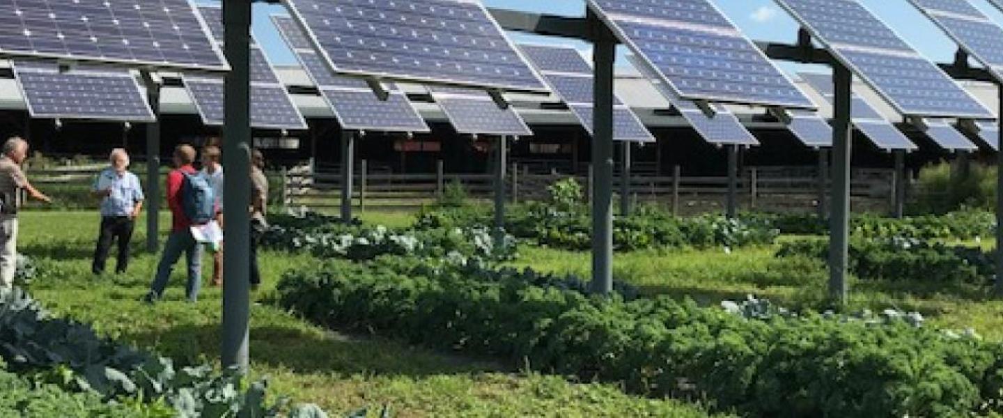 Researchers discuss agrivoltaics at University of Massachusetts Amherst farm study