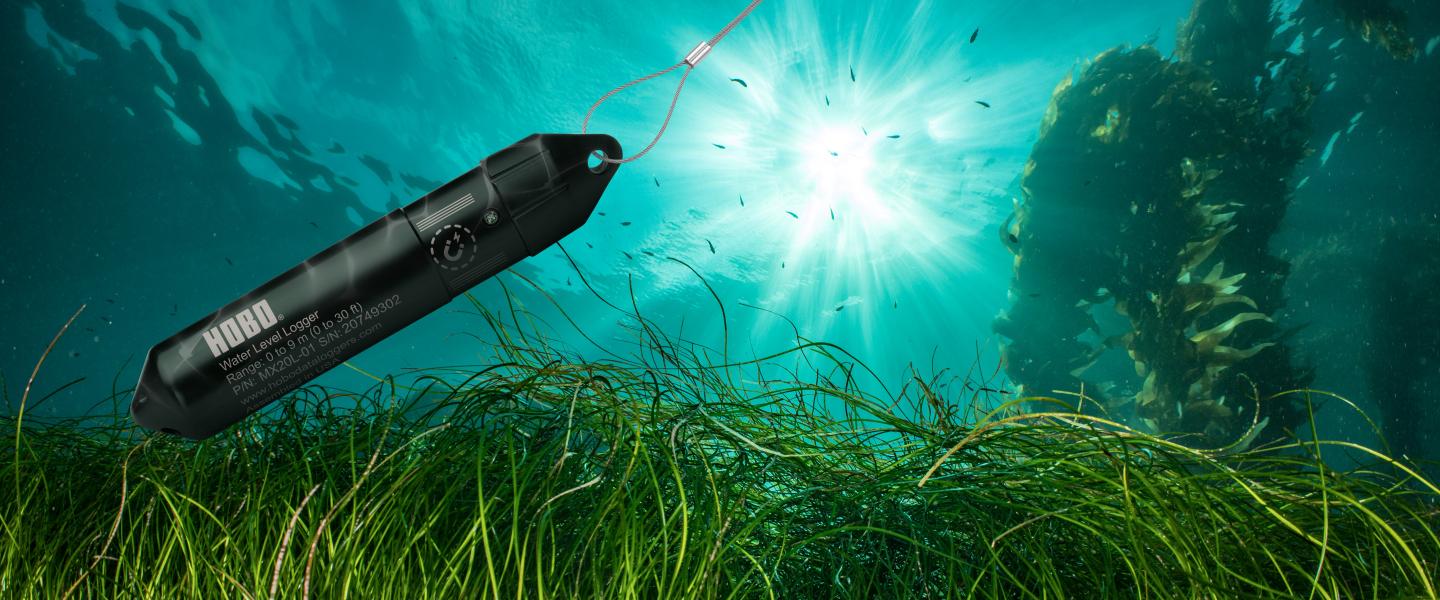 HOBO MX20L Wireless Water Level Data Logger submerged via cable