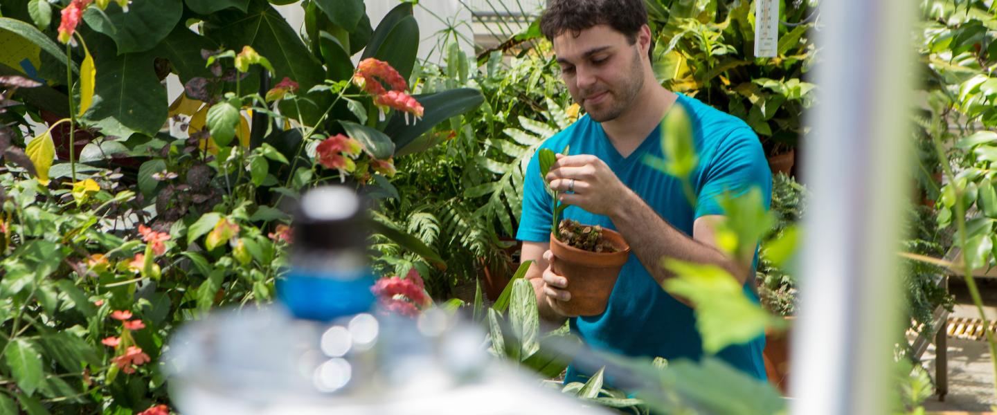 Man in greenhouse filled with flowers and green plants with light sensor blurred in foreground