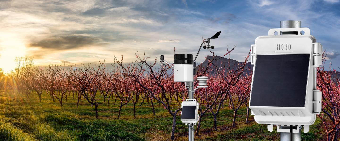 NEWA weather station kit in fruit tree orchard