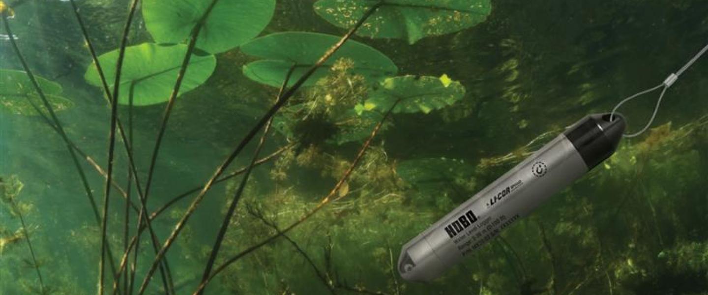 HOBO Water-Level-Logger-underwater in pond with lily pads