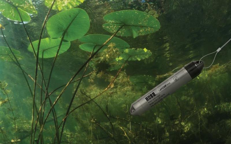 HOBO Water-Level-Logger-underwater in pond with lily pads