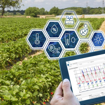 HOBOnet-Agriculture-high-level-explainer