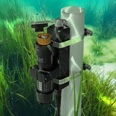 HOBO MX2502 in eel grass mounted on Zebra-Tech wiper
