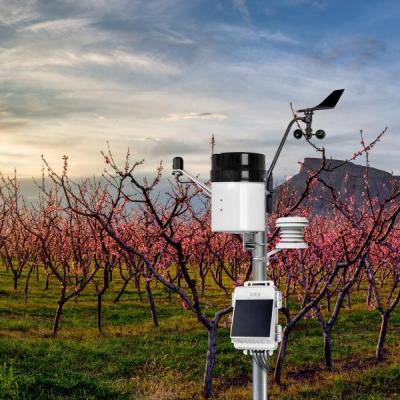 NEWA weather station kit in fruit tree orchard