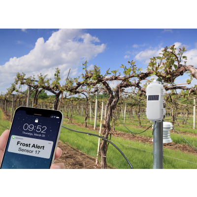Phone monitoring growing conditions data from device in vineyard
