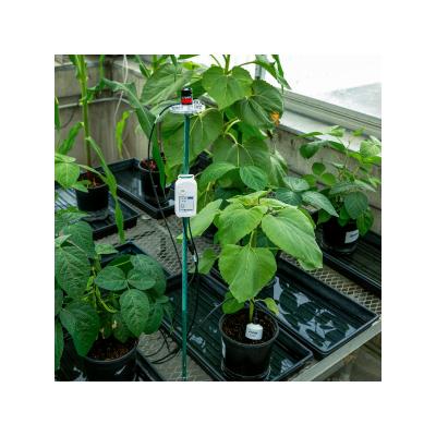 MX2307A in greenhouse monitoring soil moisture in container