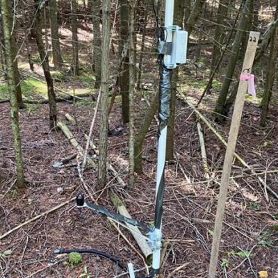 HOBO loggers in woods monitor soil and light conditions for ecological restoration project