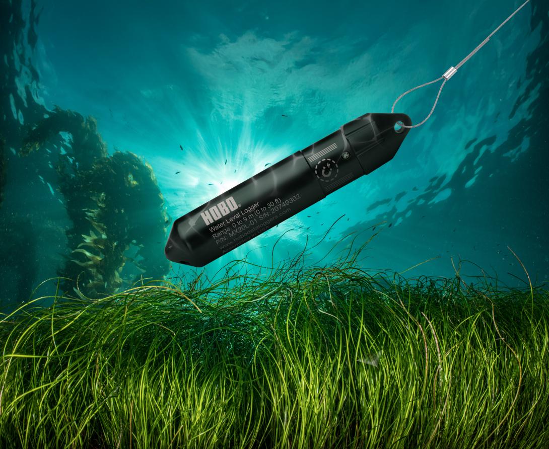 HOBO MX20L eel grass