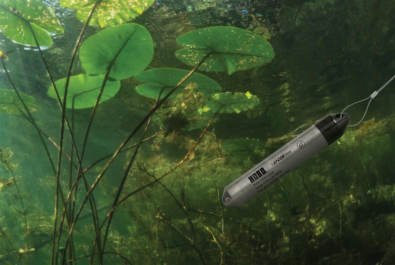 HOBO Water-Level-Logger-underwater in pond with lily pads